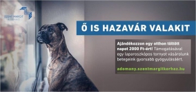 Szakmai beszámoló az Adhat vonal (13600/75 ) 2014. évi (10-12. hó) támogatásának felhasználásáról