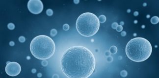 Fókuszban az onkológiai terápia – Egészségakadémia Prof. dr. Kásler Miklós előadásában