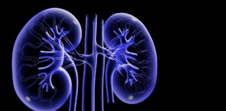 A Szent Margit Kórház Vese Alapítvány kuratóriumi ülése