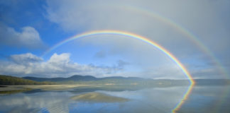 Szeretettel fogadjuk és köszönjük az 1%-ot!