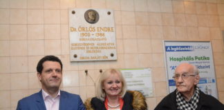 Megemlékezés-ünnepi koszorúzás