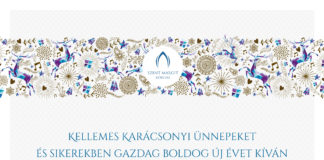 Kellemes karácsonyi ünnepeket és sikerekben gazdag boldog új évet kíván a Szent Margit Kórház
