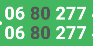 Ingyenesen hívható telefonszámon lehet tanácsot kérni