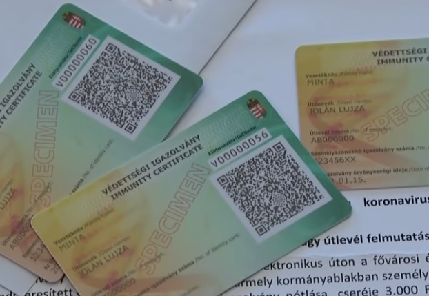 vedettsegi-igazolvany-youtube