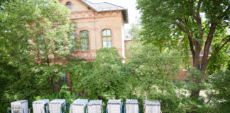 Új helyre költözött a IV. Belgyógyászati Osztály